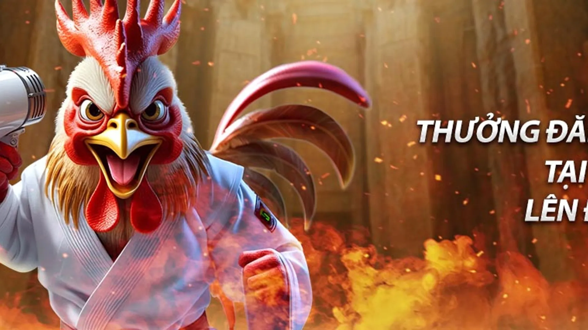 Các hoạt động theo mùa và sự kiện đặc biệt của 79king