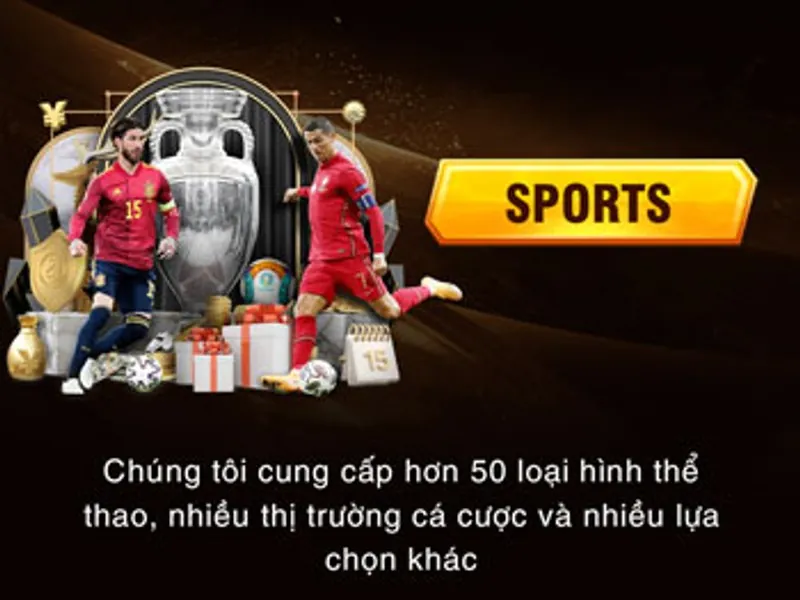 Cá Cược Thể Thao 79king