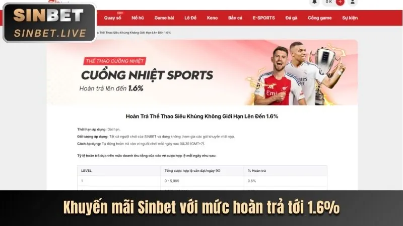Tổng quan nền tảng 79king